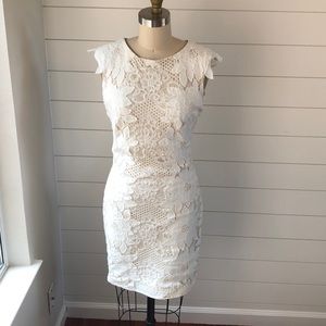 White lace/embroidered dress by Tadashi Shoji
